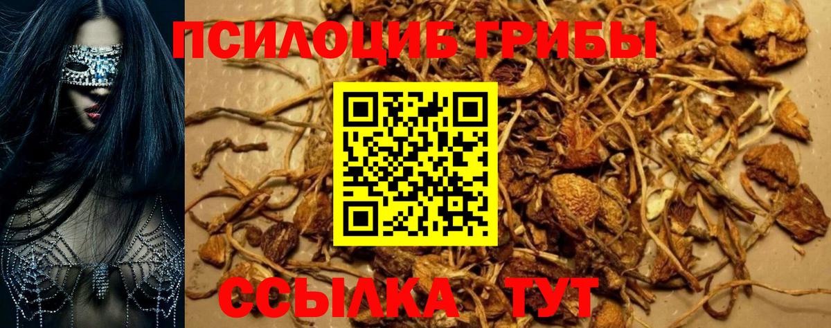 Галлюциногенные грибы MAGIC MUSHROOMS  Галлюциногенные грибы прущие грибы  Верхняя Пышма  Вход с VPN 