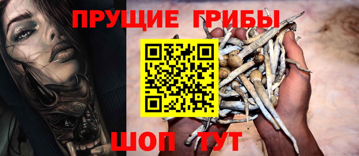 Псилоцибиновые грибы Psilocybe Верхняя Пышма