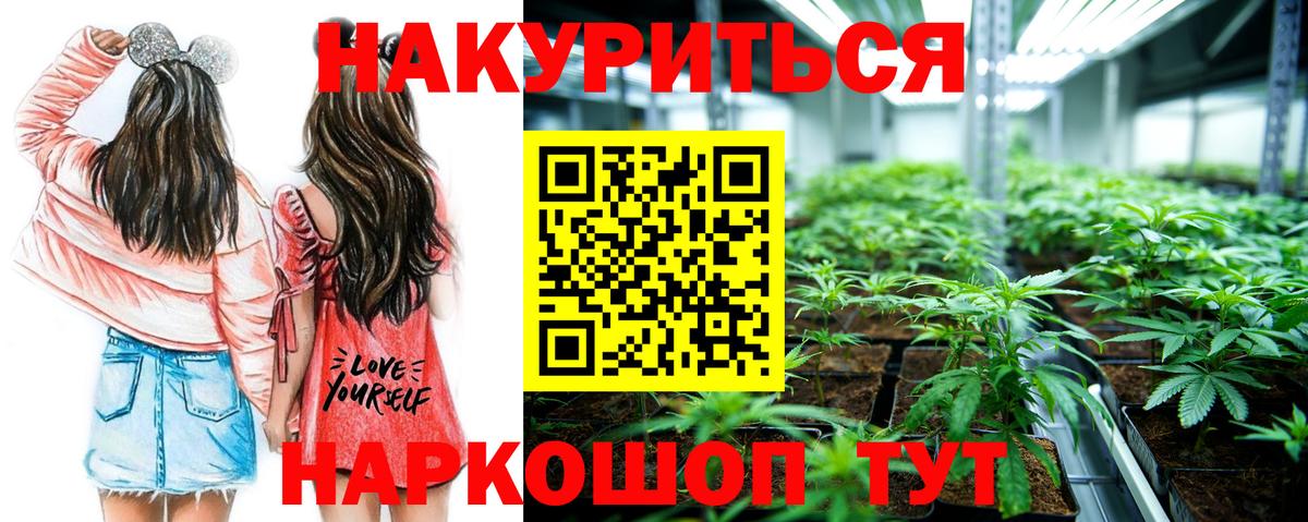 Канабис AK-47  Бошки марихуана Bruce Banner  Верхняя Пышма  Вход с VPN  Канабис гибрид  Конопля Bruce Banner 